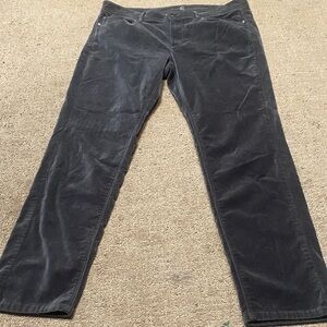 J. Jill Velour Charcoal High Rise Pants Size M?